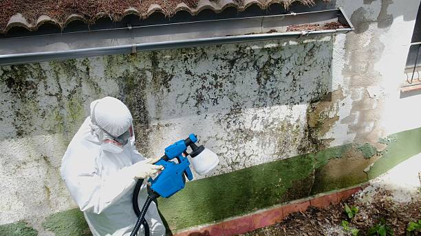 Trusted Bathroom Mold Removal service in Keedysville, MD - Cheap Mold Removal